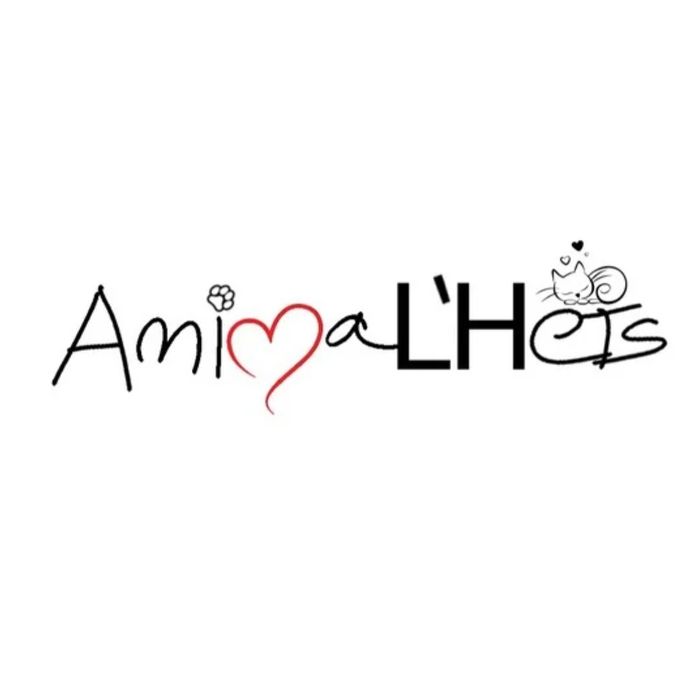 Asociación AnimaL'Hets - Somos un refugio de gatos de L'Hospitalet de Llobregat (Barcelona), nos dedicamos en cuerpo y alma a... | Recaudación de fondos en Coral