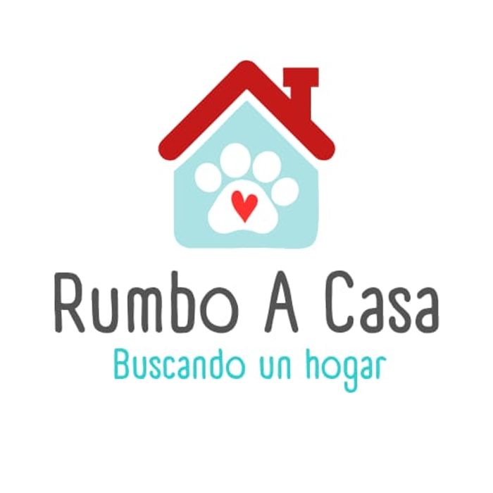 Veterinarios y Alimentación - Esta causa nace del día a día.
De los gatitos caseros que son abandonados y se quedan en la calle si... | Recaudación de fondos en Coral