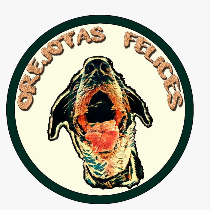 Asociación Orejotas Felices - Hay publicaciones que nos cuesta muchísimo escribir... y esta es una de ellas. 💔
Necesitamos vuestr... | Recaudación de fondos en Coral