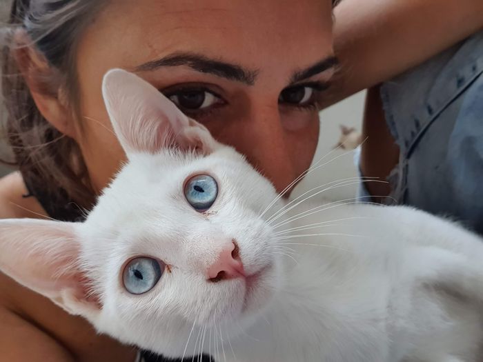Tenemos 1 mes para asegurar el hogar de 71 animales - Esta recaudación es URGENTE e INAPLAZABLE
En la casa en la que estamos actualmente ya teníamos fecha... | Recaudación de fondos en Coral