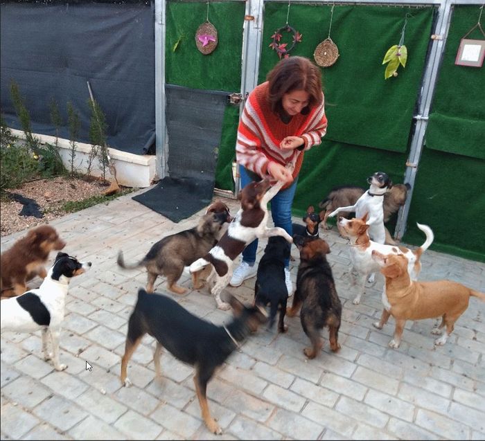 El Refugio de Pi - ¡Ya estamos aquí! 🐶✨ Pero necesitamos espacio para todos.
Nuestros primeros rescatados ya están est... | Recaudación de fondos en Coral