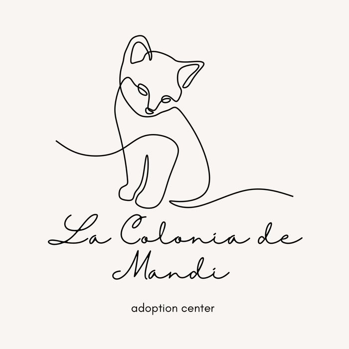 La colonia de Mandi - Somos la Colonia de Mandi, una colonia felina de unos 35 gatos que se autogestiona de manera autónom... | Recaudación de fondos en Coral