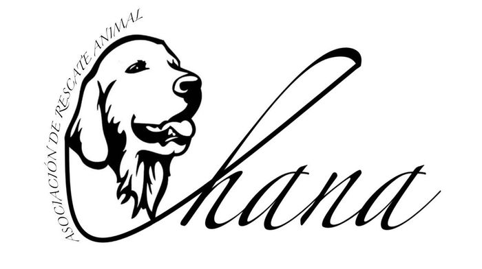 Asociación de Rescate Animal Ohana - Somos una asociación que se dedica a rescatar perros y gatos en situación de abandono y maltrato. Es... | Recaudación de fondos en Coral