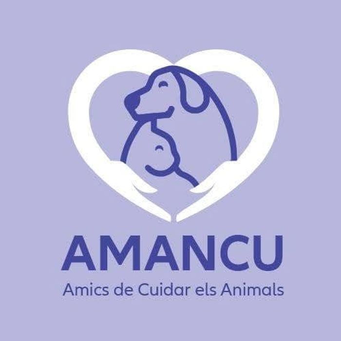 Amancu - Somos una asociación de voluntarios creada en 2016. Tras 8 años de gestión municipal en Cunit, desde... | Recaudación de fondos en Coral