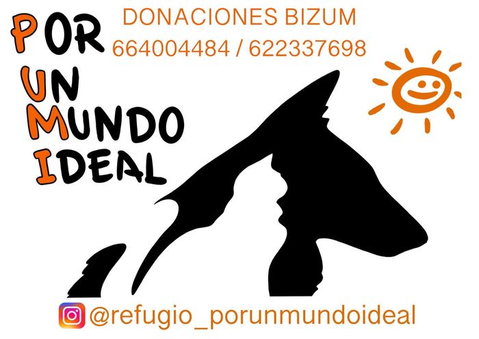 Por Un Mundo Ideal - Somos una Protectora de Animales que subsistimos gracias a la generosidad de la gente. Llevamos más... | Recaudación de fondos en Coral