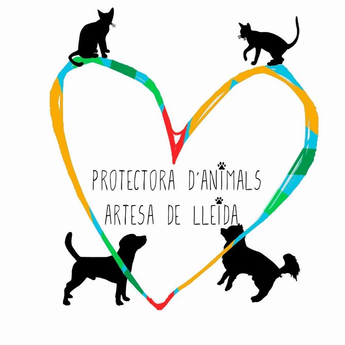 Ayuda para alimentación y gastos veterinarios - Somos una organización sin animo de lucro, que ayudamos a perros y gatos, perdidos, abandonados ...a... | Recaudación de fondos en Coral