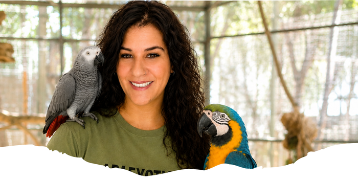 APAEXÓTICOS - Asociación Protectora de Animales Exóticos - APAExóticos (Asociación Protectora de Animales Exóticos) es una entidad sin ánimo de lucro fundada e... | Recaudación de fondos en Coral