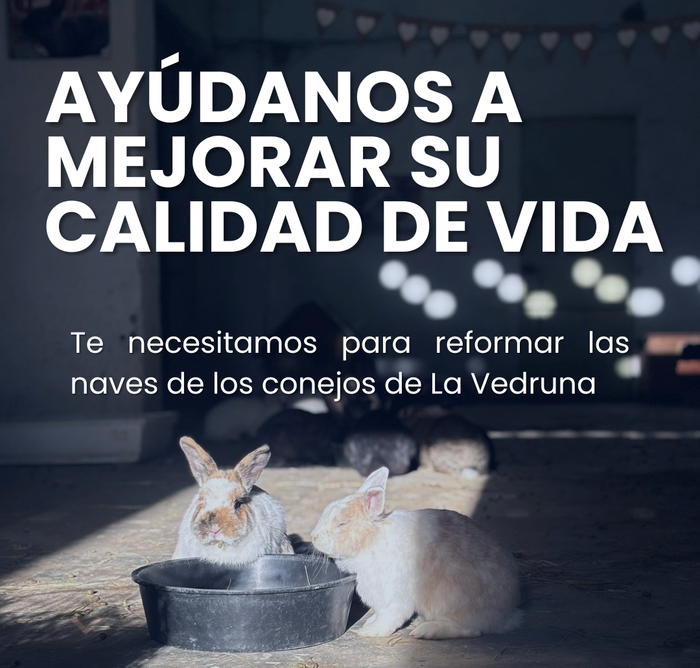 Ayúdanos a mejorar la vida de los conejos - La Asociación La Vedruna se constituye a finales del año 2018 como Asociación sin ánimo de lucro en... | Recaudación de fondos en Coral