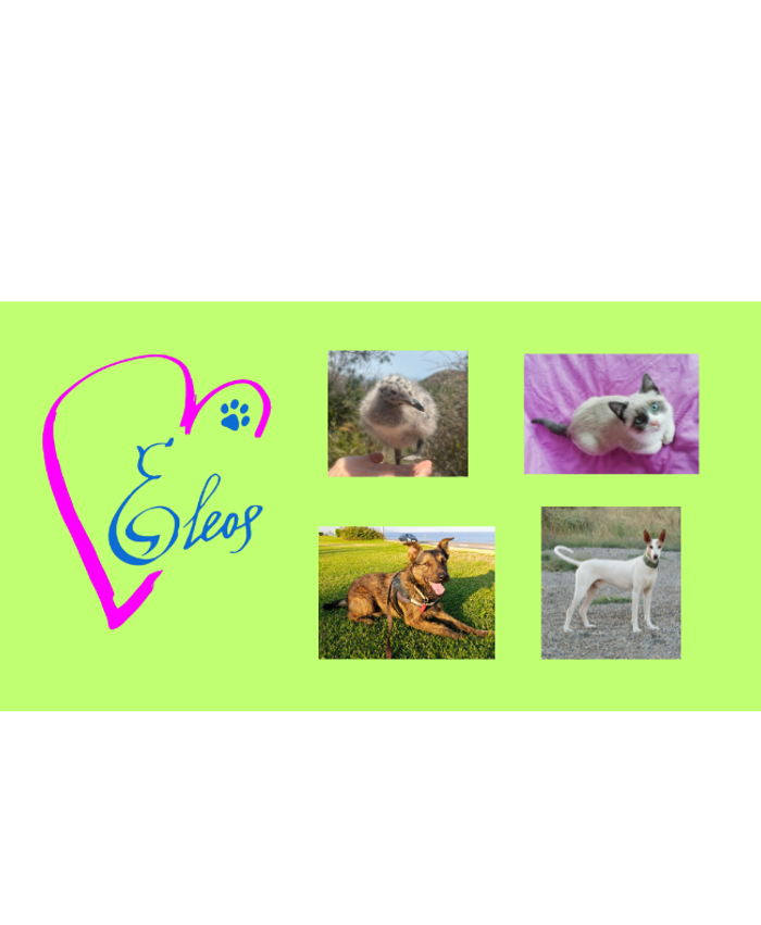 Asociación Animalista ELEOS - Somos una asociación sin ánimo de lucro legalmente constituida con Nº de Registro Nacional 617514 y... | Recaudación de fondos en Coral