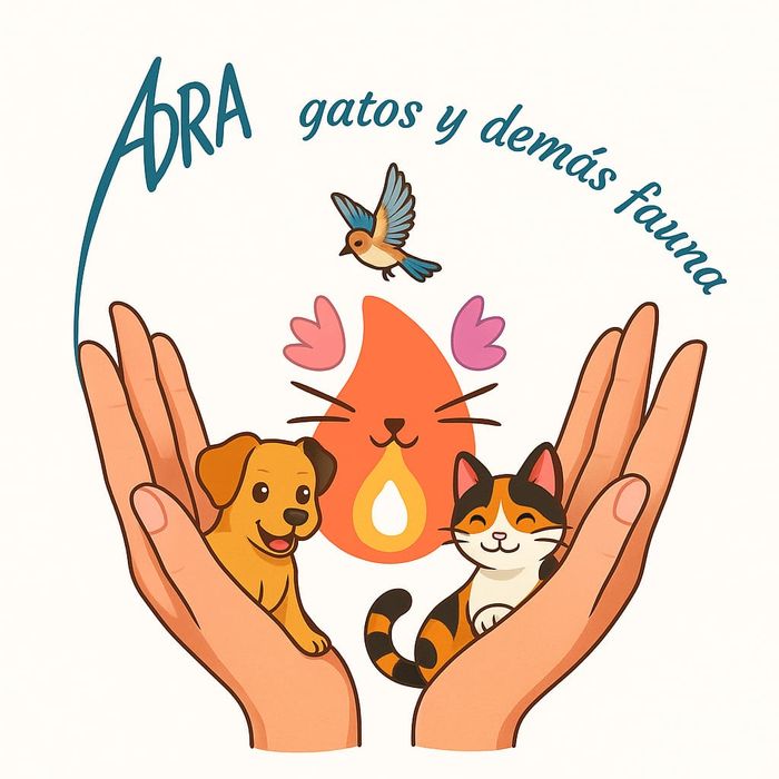 Asociación Defensa y Rescate Animal - ADRA GATOS Y DEMÁS FAUNA.
Con sede en Almería pero actividad en distintos puntos del país.
Especiali... | Recaudación de fondos en Coral