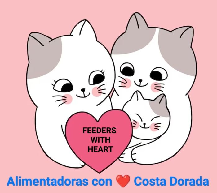 Alimentadoras con ❤️ Costa Dorada - Somos una asociación sin ánimo de lucro que se dedica a esterilizar gatas/os en poblaciones como Sal... | Recaudación de fondos en Coral