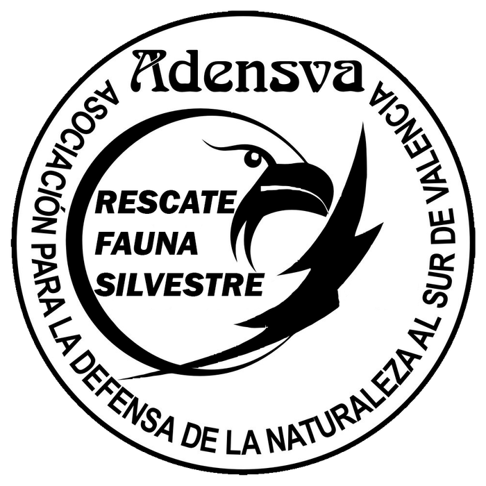 RESCATE DE FAUNA SILVESTRE - ADENSVA - Somos un grupo de personas voluntarias pertenecientes a la asociación ADENSVA, que de forma altruist... | Recaudación de fondos en Coral