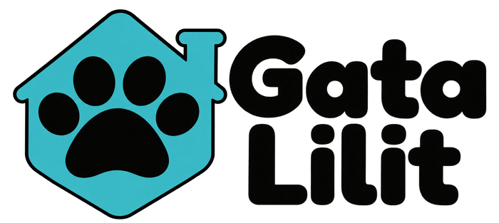 Asociación Gata Lilit - Hay vidas que pasan desapercibidas. Para nosotros, ninguna es invisible.
Somos Gata Lilit, una asoci... | Recaudación de fondos en Coral