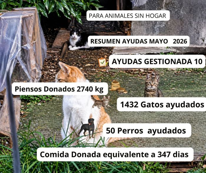 Imagen de la comunicación