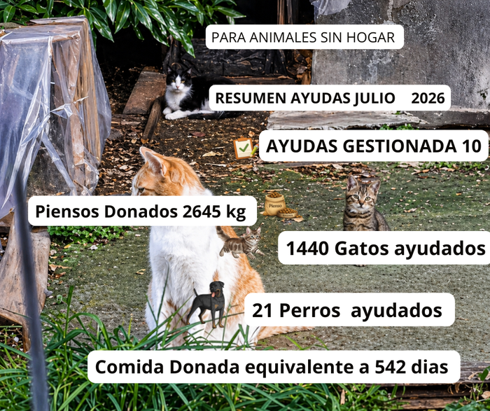 Imagen de la comunicación