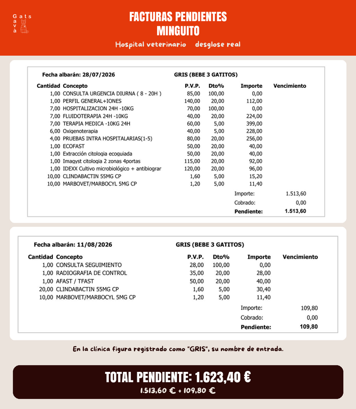Imagen de la comunicación