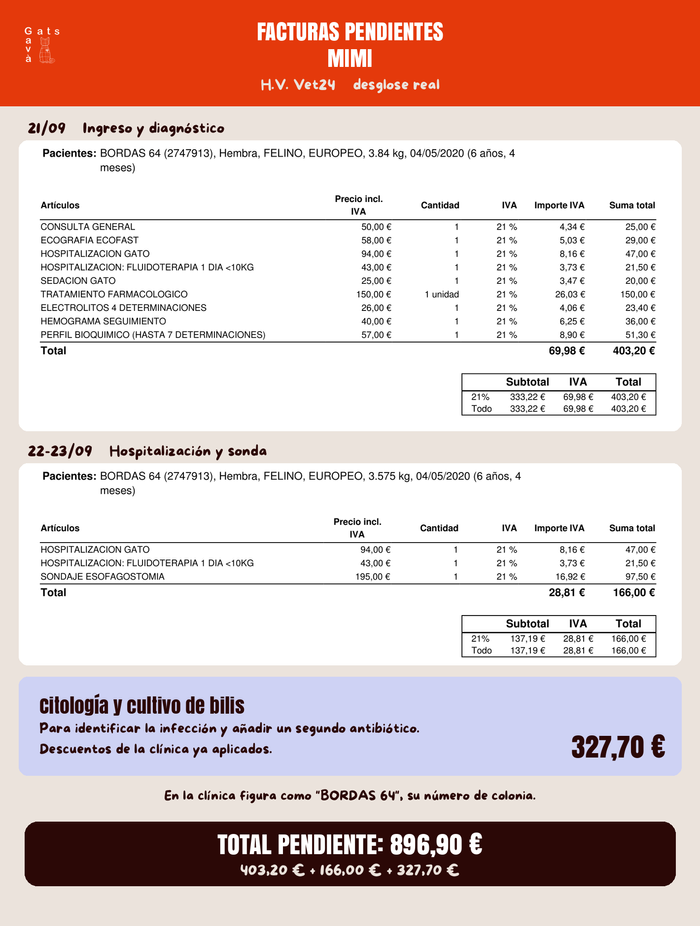 Imagen de la comunicación
