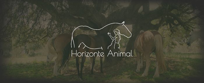 Horizonte Animal - Horizonte Animal es una asociación sin ánimo de lucro, inscrita en el Registro de Asociaciones de la... | Recaudación de fondos en Coral